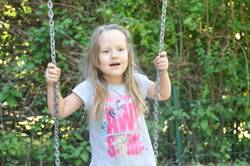 vogelnest.jpg vogelnest.jpg