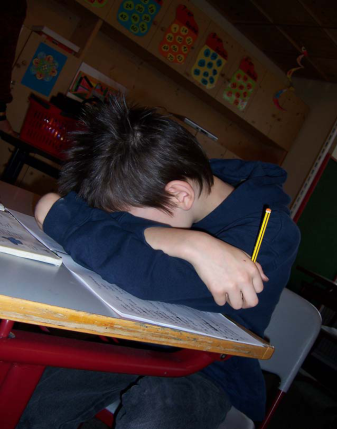 nardini-schueler.png nardini-schueler.png